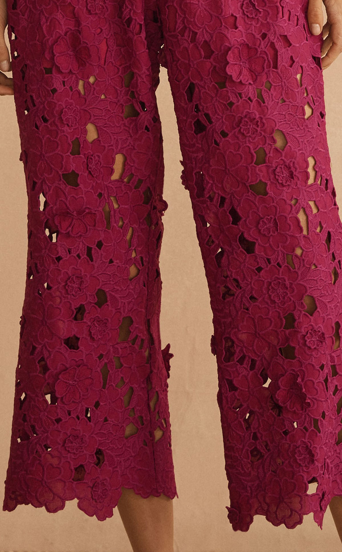 Detail of ROSARIA ORNATO Appliqué Cropped Pant