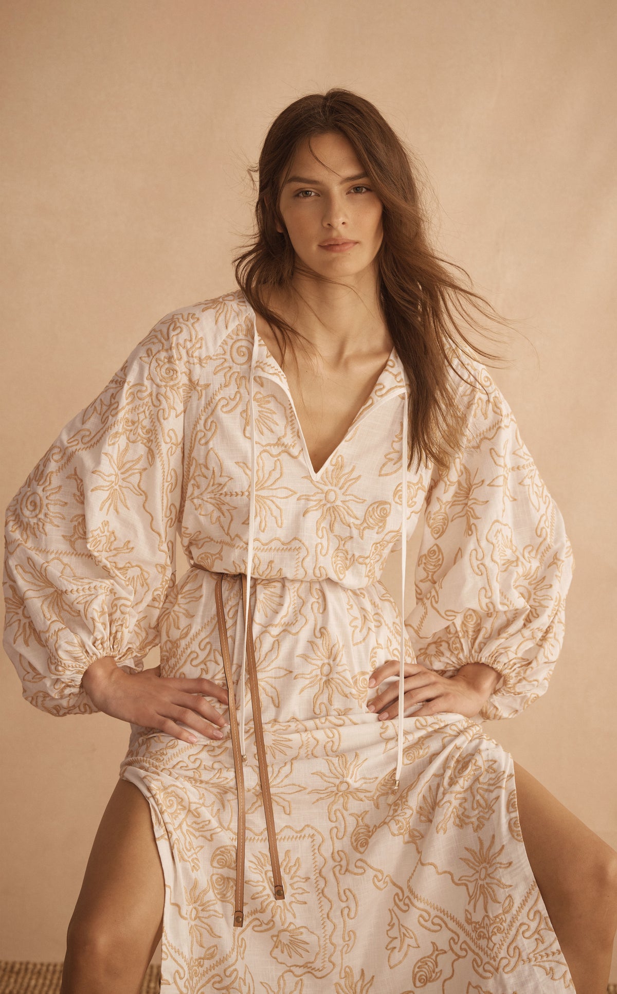 Detail of INTARSIO Embroidered Billow Sleeve Tunic Dress